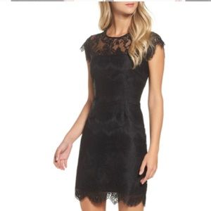 Bb Dakota dress NWT